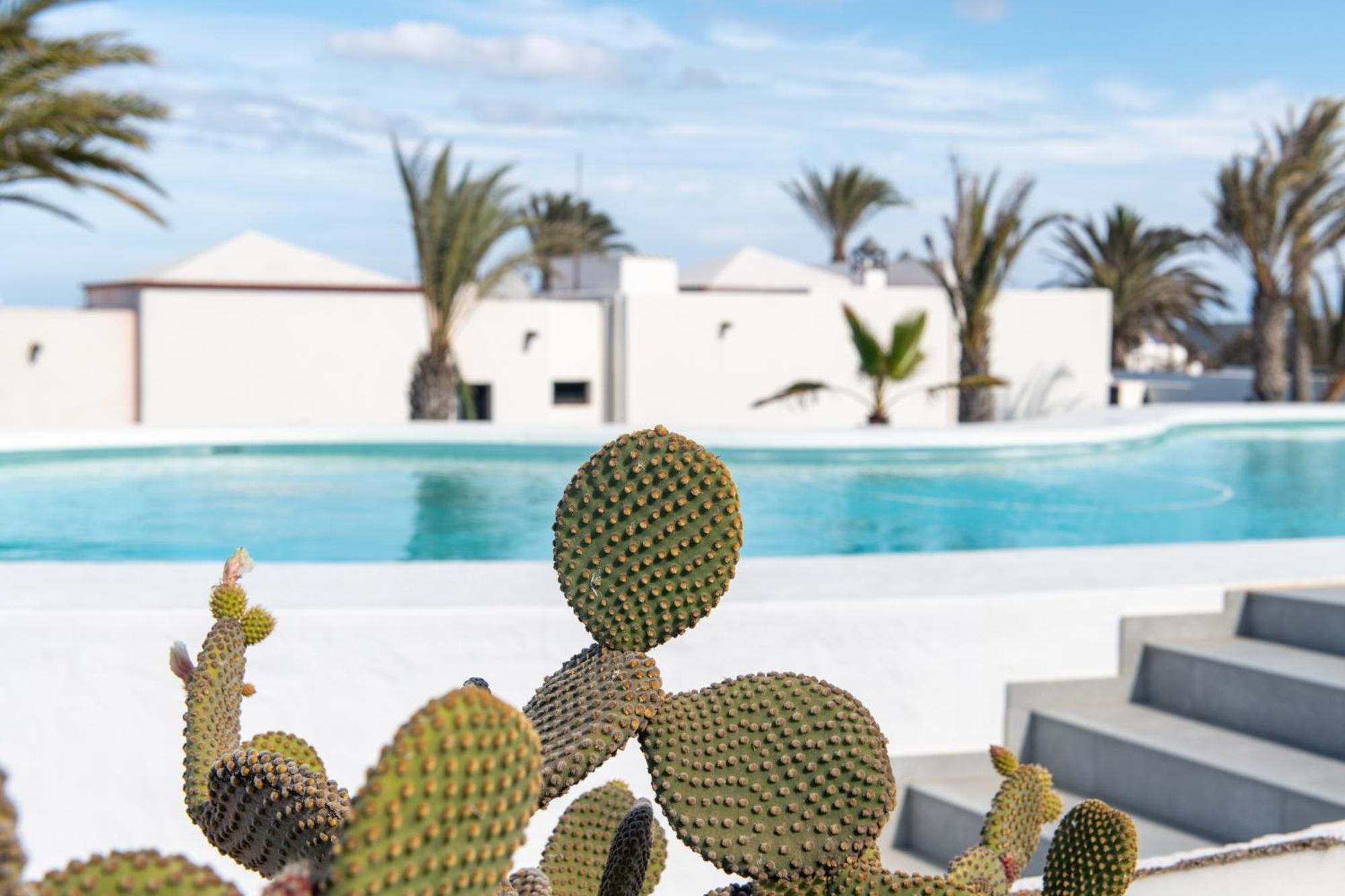 Villa Blanca Nudist Place تشاركو ديل بالو المظهر الخارجي الصورة